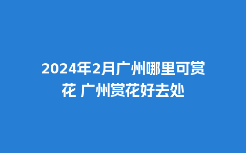 2024年2月广州哪里可赏花 广州赏花好去处