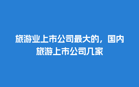 旅游业上市公司最大的，国内旅游上市公司几家