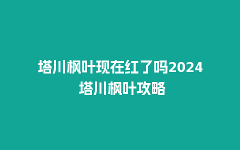 塔川枫叶现在红了吗2024 塔川枫叶攻略