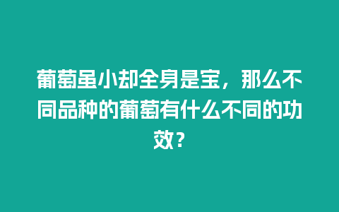 葡萄虽小却全身是宝，那么不同品种的葡萄有什么不同的功效？