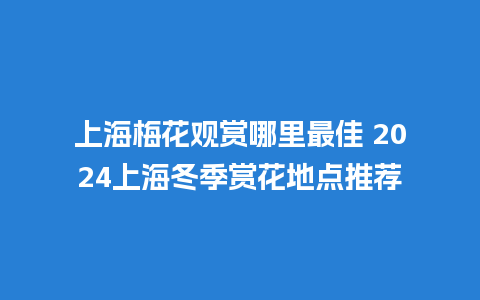 上海梅花观赏哪里最佳 2024上海冬季赏花地点推荐