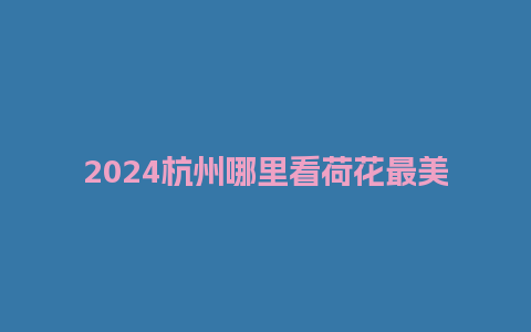 2024杭州哪里看荷花最美